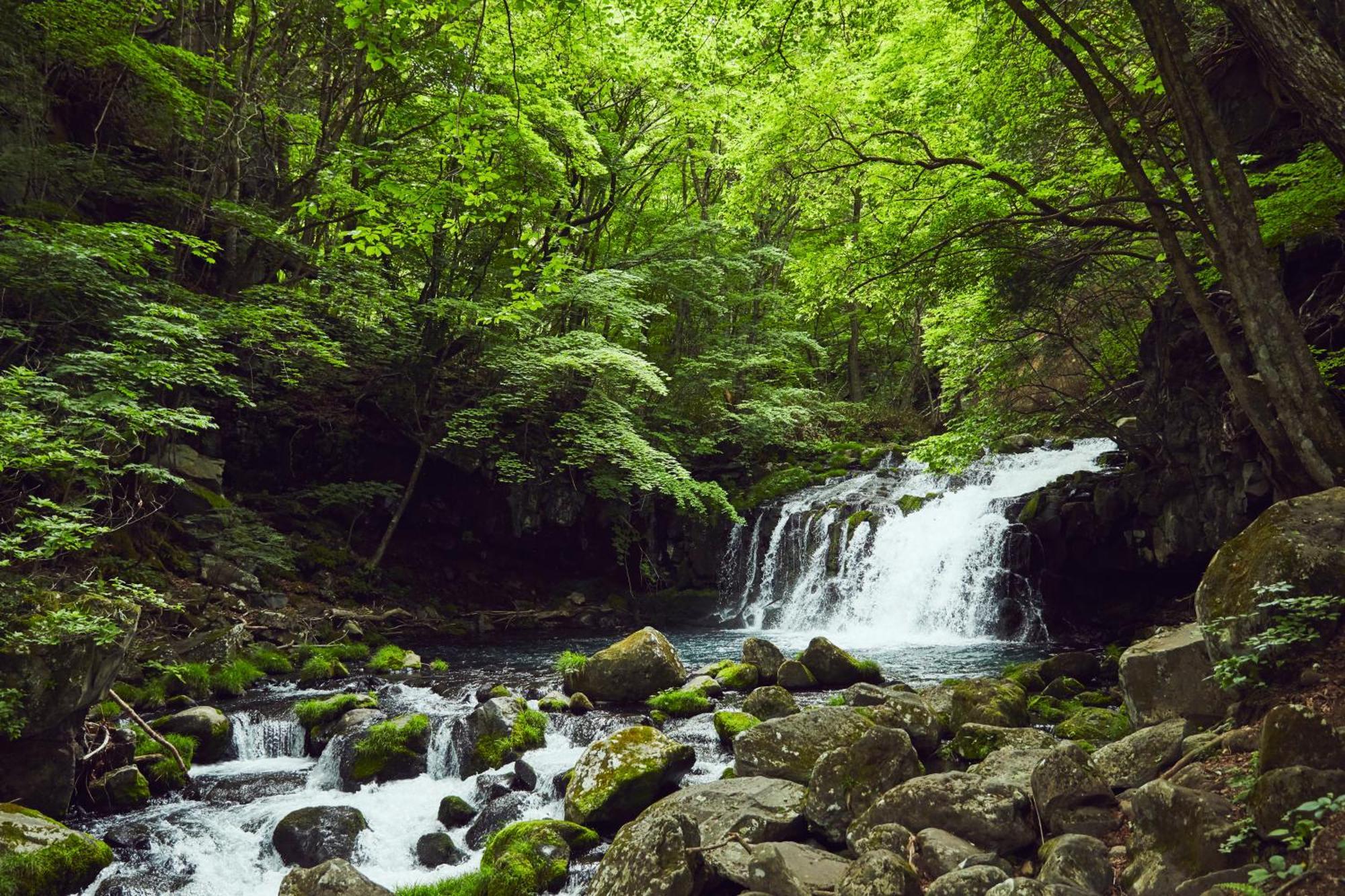 Отель Tateshina Shinyu Onsen Тино Экстерьер фото